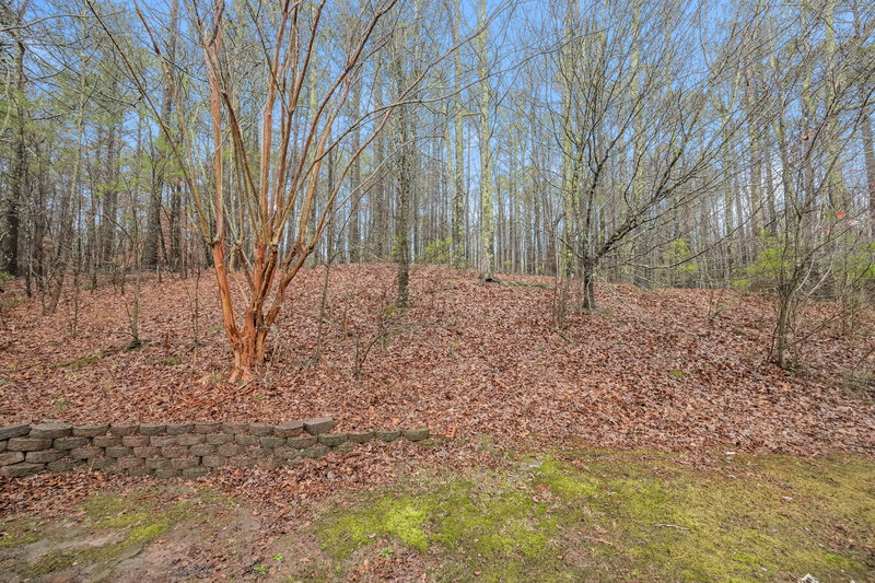 1,885/Mo, 1715 Heatherton Rd Dacula, GA 30019 Misc View 14