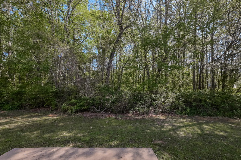 2,640/Mo, 4143 Creekrun Cir Buford, GA 30519 Backyard View