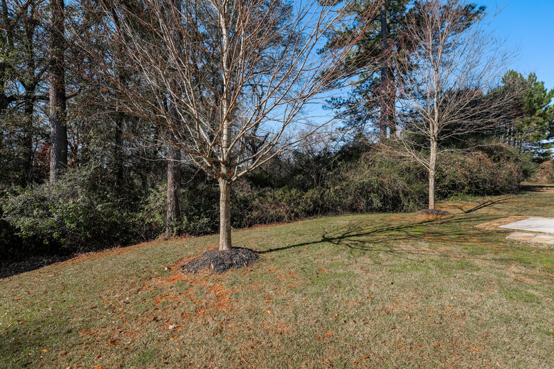 2,295/Mo, 2115 Malanga Ct Austell, GA 30106 Rear View 2