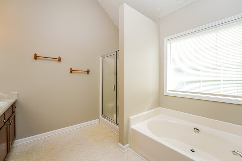 2,020/Mo, 235 Shadowbrooke Cir Loganville, GA 30052 Main Bathroom View