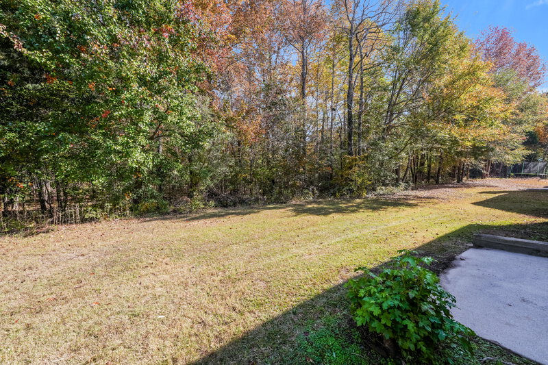 2,080/Mo, 4097 Rosebud Park Dr Snellville, GA 30039 Rear View