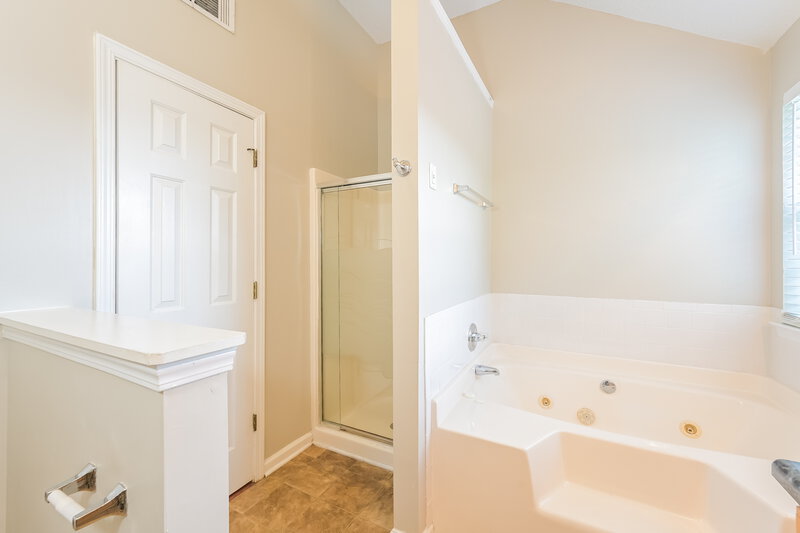 2,095/Mo, 4710 Millenium View Ct Snellville, GA 30039 Main Bathroom View 2