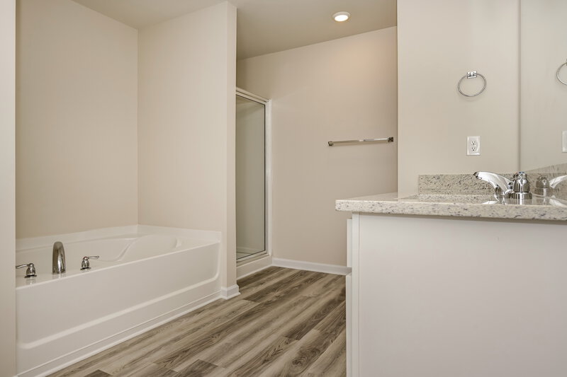 2,513/Mo, 1508 Big Bud Ln Locust Grove, GA 30248 Main Bathroom View 2