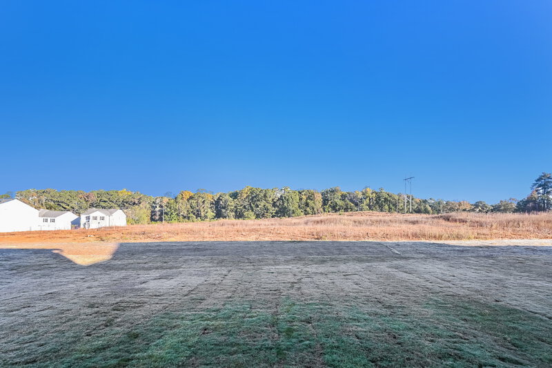 1,870/Mo, 193 Long Dr Bethlehem, GA 30620 Rear View 2