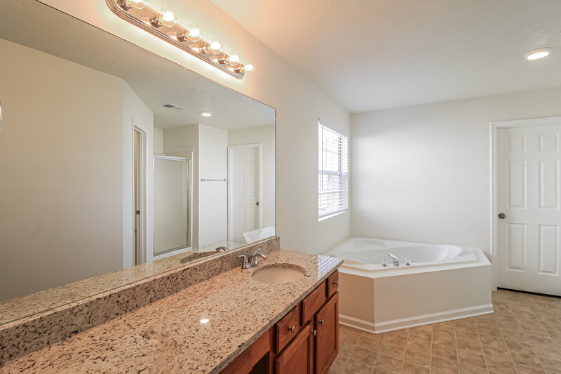 2,020/Mo, 1705 New Orleans Way McDonough, GA 30252 Main Bathroom View