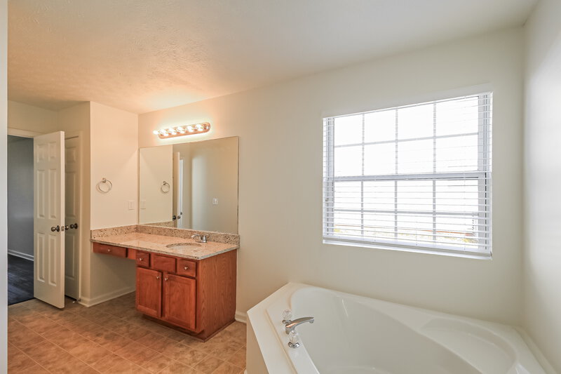 2,020/Mo, 1705 New Orleans Way McDonough, GA 30252 Main Bathroom View 2
