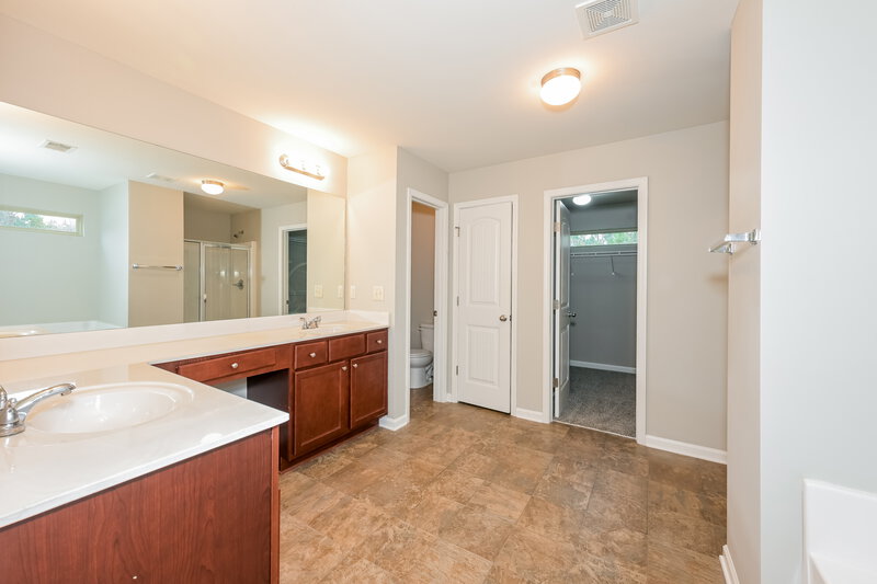 2,090/Mo, 930 Walking Stick Trl Auburn, GA 30011 Main Bathroom View