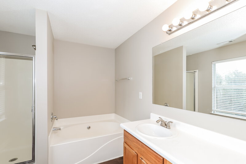 2,135/Mo, 1607 Thornwick Trce Stockbridge, GA 30281 Main Bathroom View