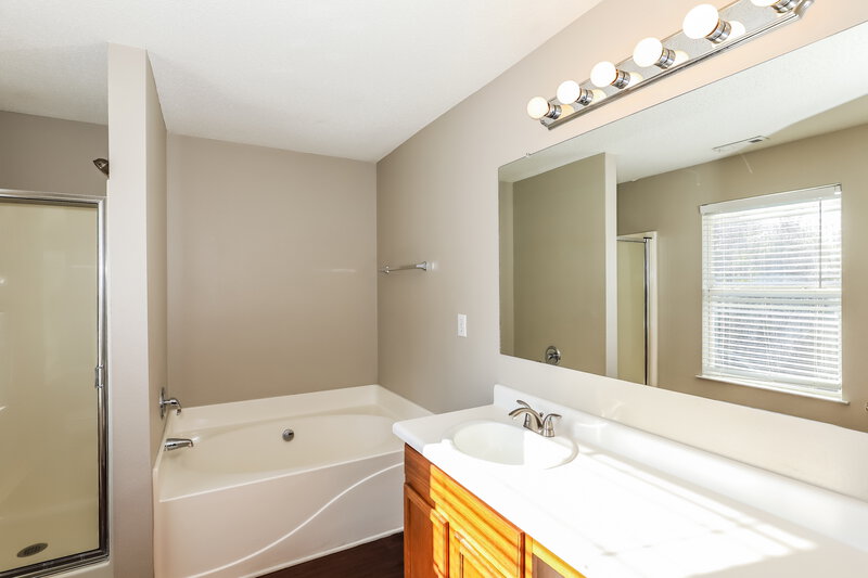 0/Mo, 1607 Thornwick Trce Stockbridge, GA 30281 Main Bathroom View