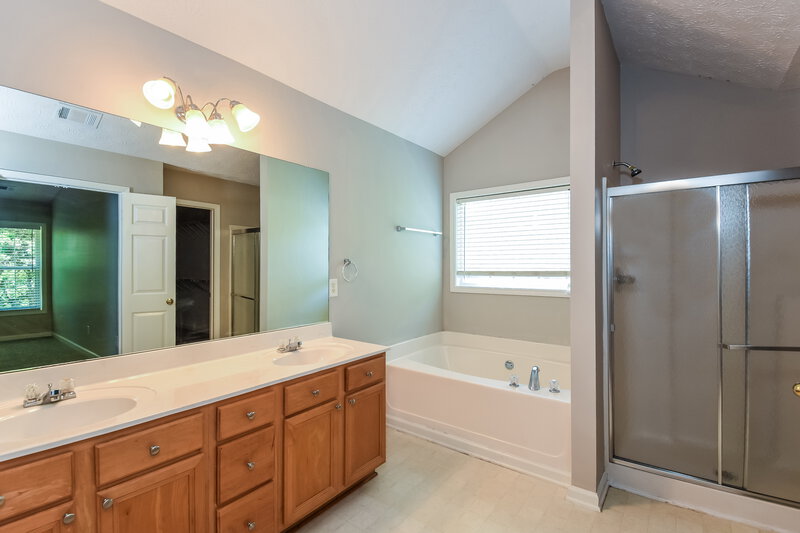 2,230/Mo, 253 Diamond Valley Pass Canton, GA 30114 Main Bathroom View