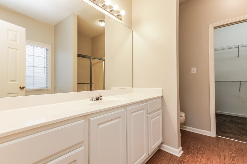 1,965/Mo, 4100 Springvale Way McDonough, GA 30252 Main Bathroom View