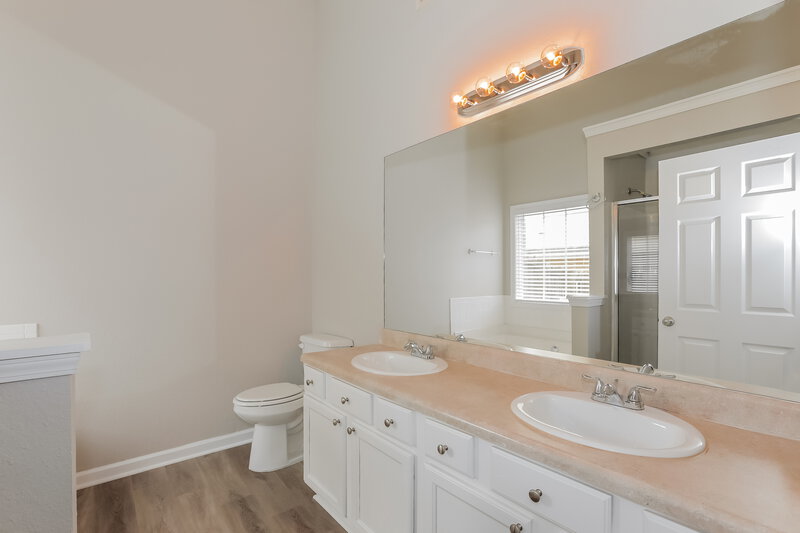 2,145/Mo, 236 Gilliam Ct Locust Grove, GA 30248 Main Bathroom View