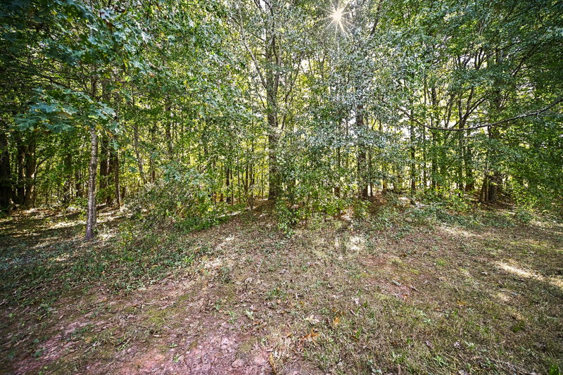 2,350/Mo, 896 Brisley Cir Hampton, GA 30228 Backyard View