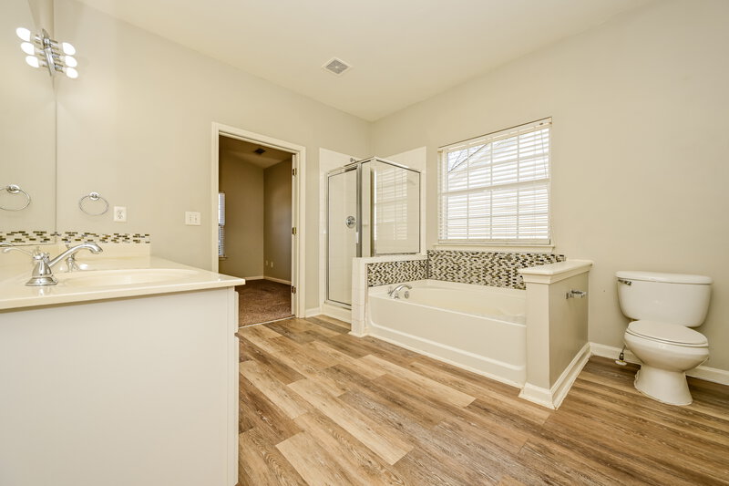 2,000/Mo, 1285 Winwood Dr McDonough, GA 30253 Main Bathroom View