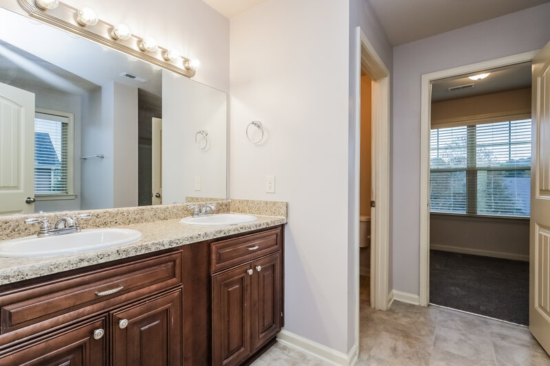 2,000/Mo, 3219 Puritan Way McDonough, GA 30252 Main Bathroom View