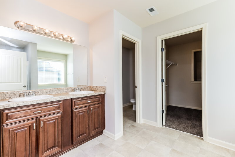 2,180/Mo, 3221 Puritan Way McDonough, GA 30252 Main Bathroom View