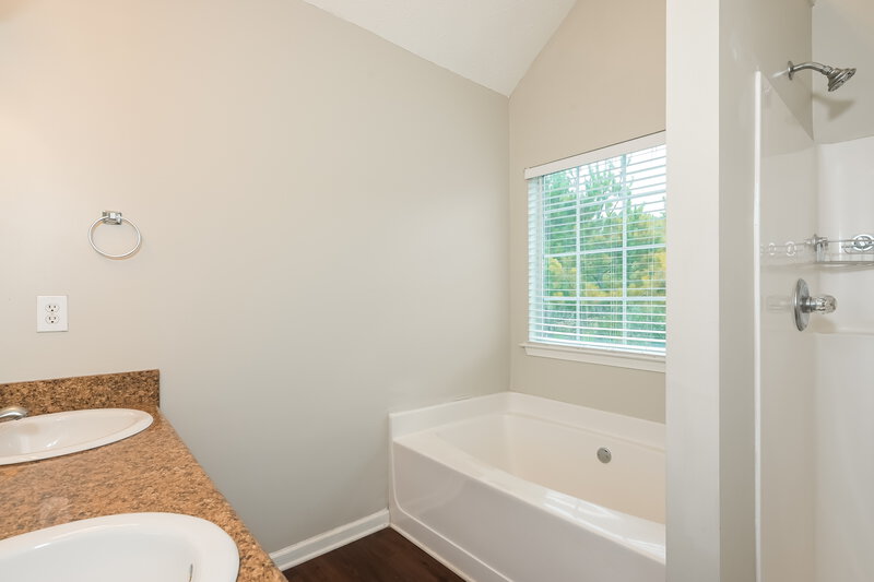 1,950/Mo, 1161 Saint Phillips Court Locust Grove, GA 30248 Main Bathroom View 2