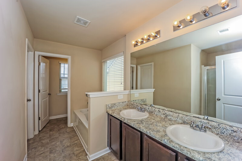 1,860/Mo, 1321 Bass Lane McDonough, GA 30253 Main Bathroom View