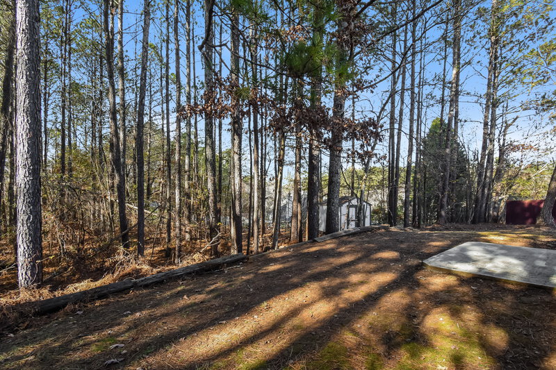 1,785/Mo, 1917 Summit Creek Way Loganville, GA 30052 Rear View 2
