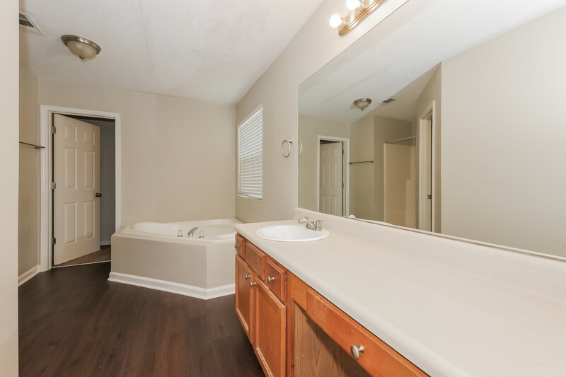 2,480/Mo, 1675 New Orleans Way McDonough, GA 30252 Main Bathroom View