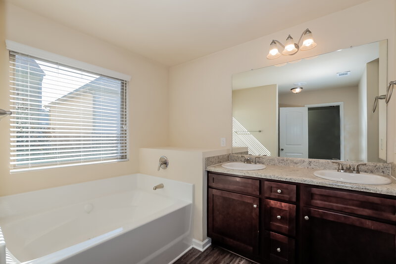2,005/Mo, 1209 Faye Court McDonough, GA 30253 Main Bathroom View