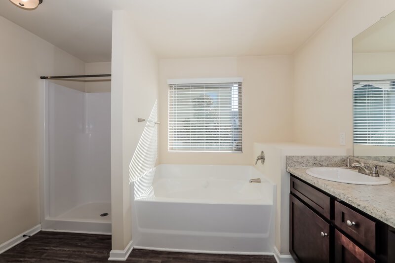 2,005/Mo, 1209 Faye Court McDonough, GA 30253 Bathroom View