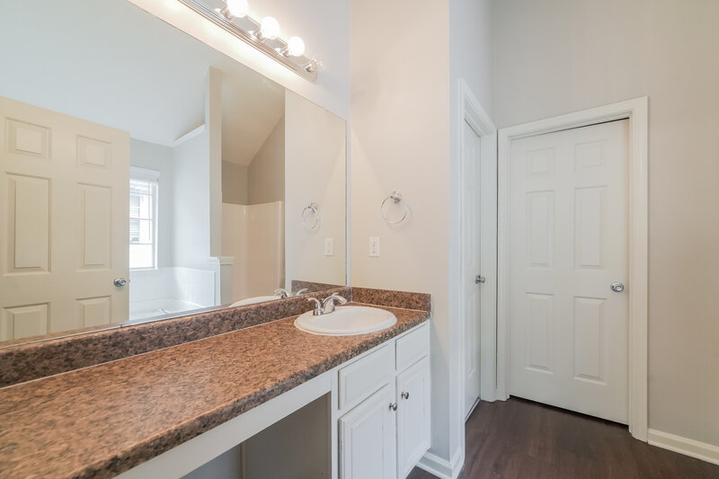 1,520/Mo, 11100 Aliyah Drive Hampton, GA 30228 Main Bathroom View 2