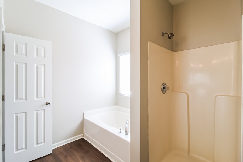 1,910/Mo, 5040 Pioneer Parkway McDonough, GA 30253 Main Bathroom View