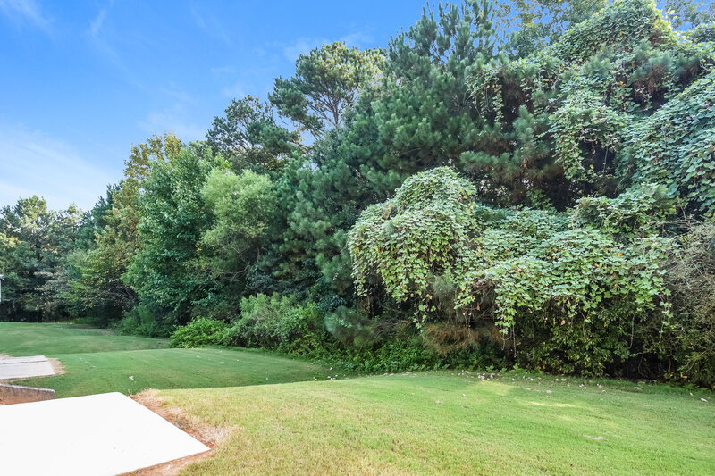 1,850/Mo, 343 Clearsprings Drive Lawrenceville, GA 30046 Rear View