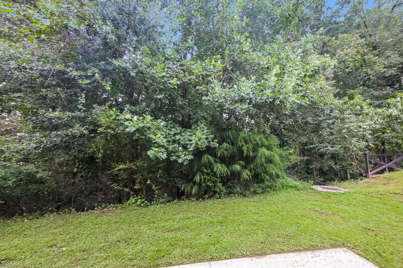 1,990/Mo, 6593 Grand Hickory Drive Braselton, GA 30517 Rear View 2