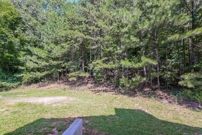 1,980/Mo, 3154 Lower Creek Dr Douglasville, GA 30135 Backyard View