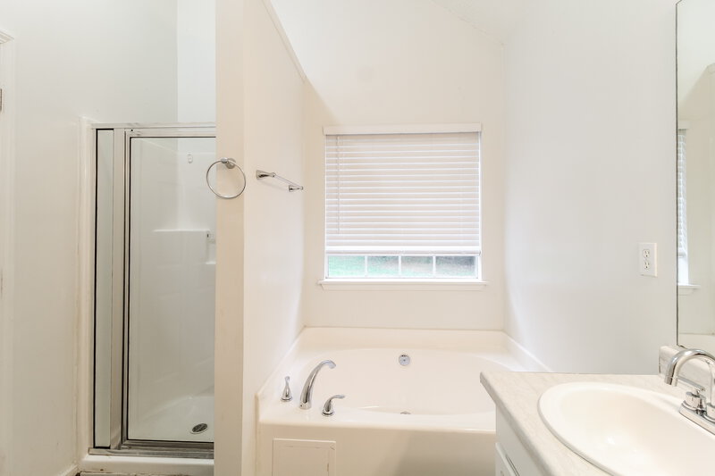 1,930/Mo, 850 Chaseridge Drive McDonough, GA 30253 Main Bathroom View