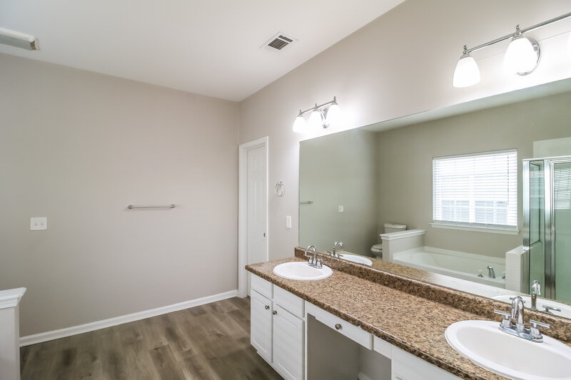 1,855/Mo, 1281 Winwood Drive McDonough, GA 30253 Main Bathroom View 2