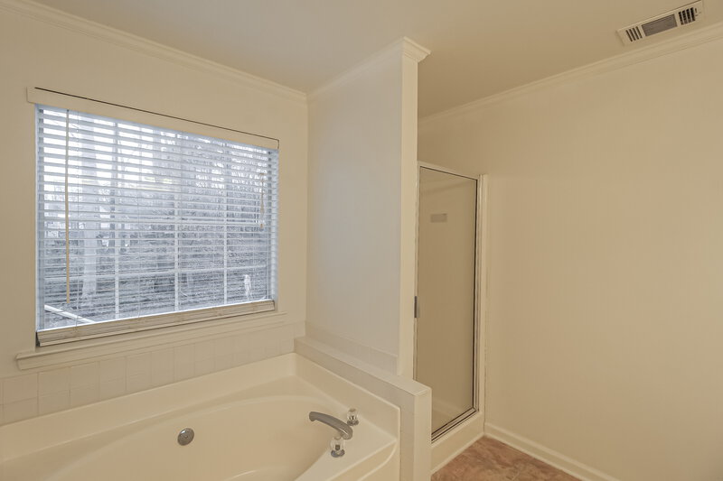 1,810/Mo, 245 Pebble Creek Drive McDonough, GA 30253 Main Bathroom View 2