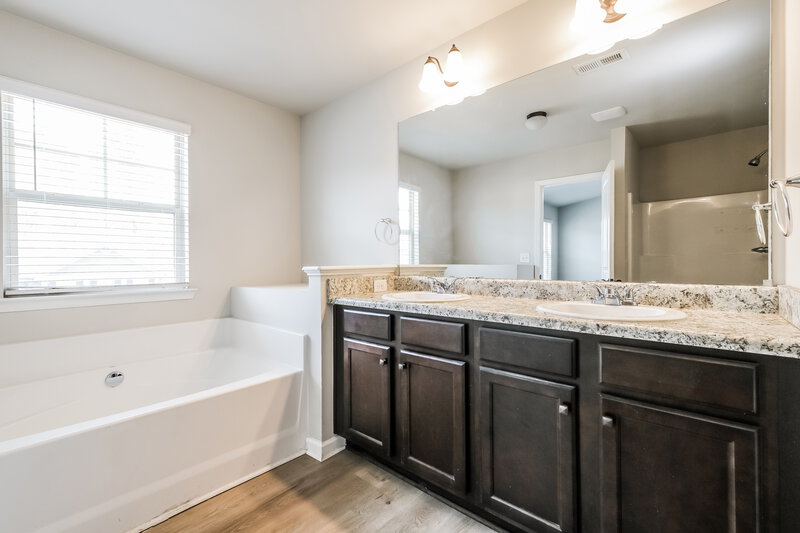2,195/Mo, 140 Magnaview Dr McDonough, GA 30253 Main Bathroom View