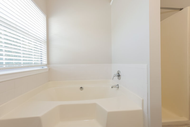 1,900/Mo, 3963 Waldrop Hills Dr Decatur, GA 30034 Main Bathroom View 2