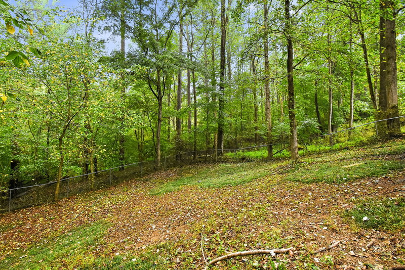 1,705/Mo, 4000 Chimney Ridge Way Ellenwood, GA 30294 Backyard View