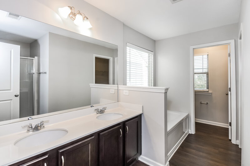2,120/Mo, 255 Magnaview Dr McDonough, GA 30253 Main Bathroom View