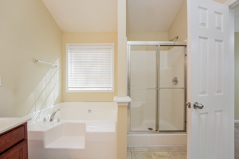 2,200/Mo, 4296 Preserve Trl Snellville, GA 30039 Main Bathroom View 2