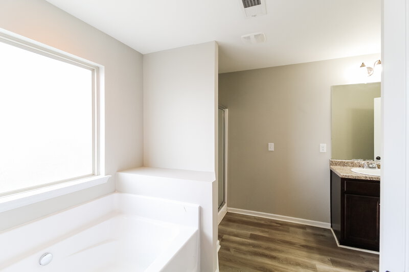 3,010/Mo, 771 Galveston Way McDonough, GA 30253 Main Bathroom View