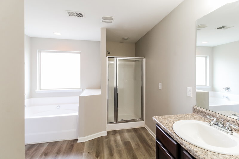 3,010/Mo, 771 Galveston Way McDonough, GA 30253 Main Bathroom View 2