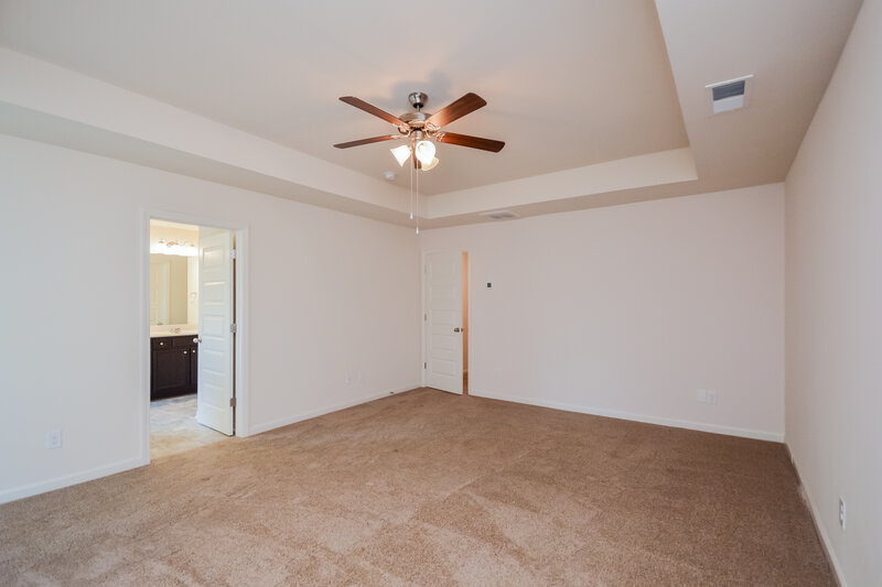 3,080/Mo, 313 Emporia Loop McDonough, GA 30253 Main Bathroom View
