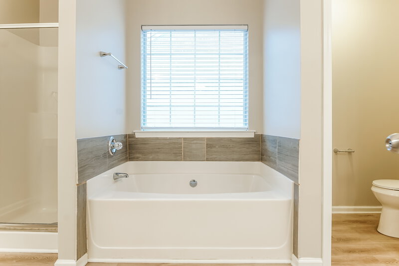 2,420/Mo, 6325 Polar Fox Ct Riverdale, GA 30296 Main Bathroom View
