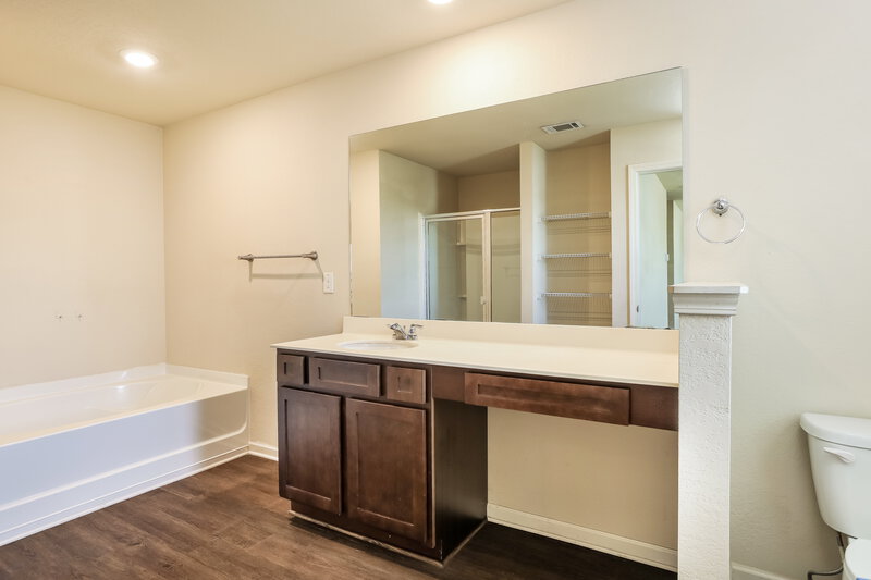 2,080/Mo, 3343 Clawing Hawk Way Douglasville, GA 30135 Main Bathroom View 2