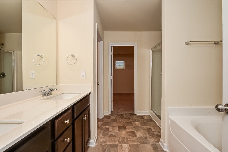 3,520/Mo, 441 Culloden Moor Dr McDonough, GA 30253 Main Bathroom View