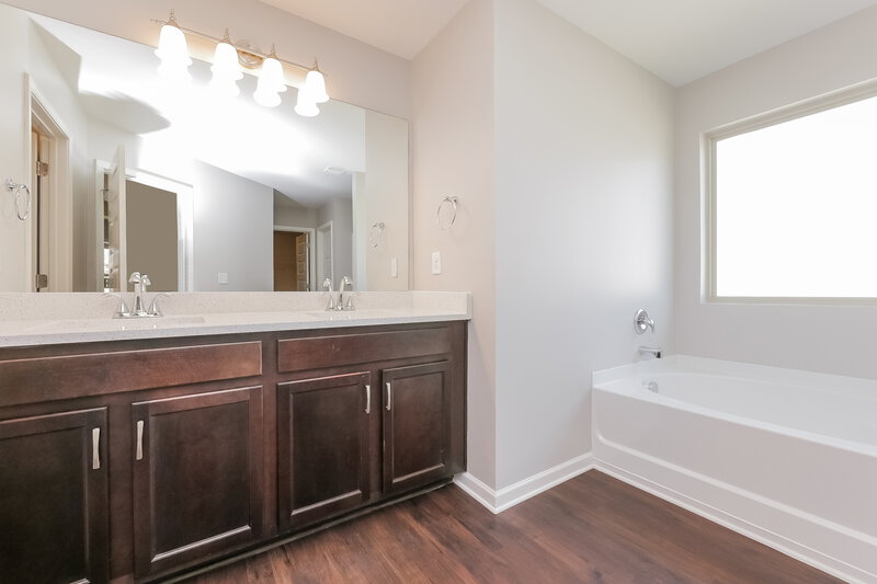 1,875/Mo, 1082 Lear Dr Locust Grove, GA 30248 Main Bathroom View