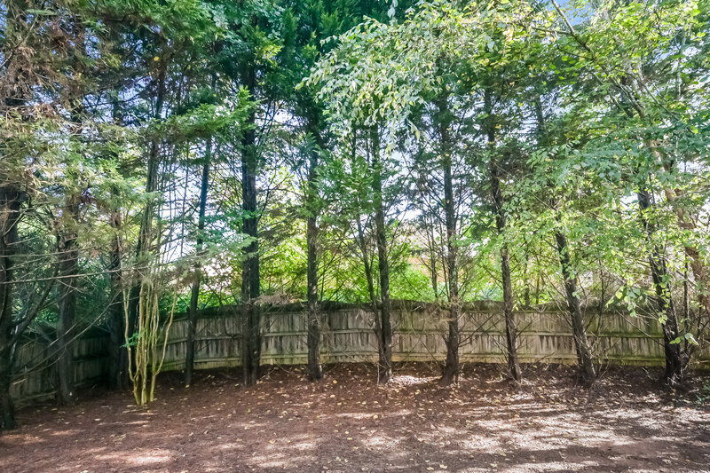 2,000/Mo, 2495 Mayfair Dr Cumming, GA 30040 Rear View 2