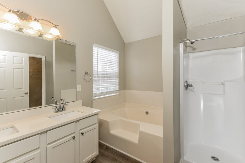 2,210/Mo, 6828 Hill Creek Cove Lithonia, GA 30058 Main Bathroom View