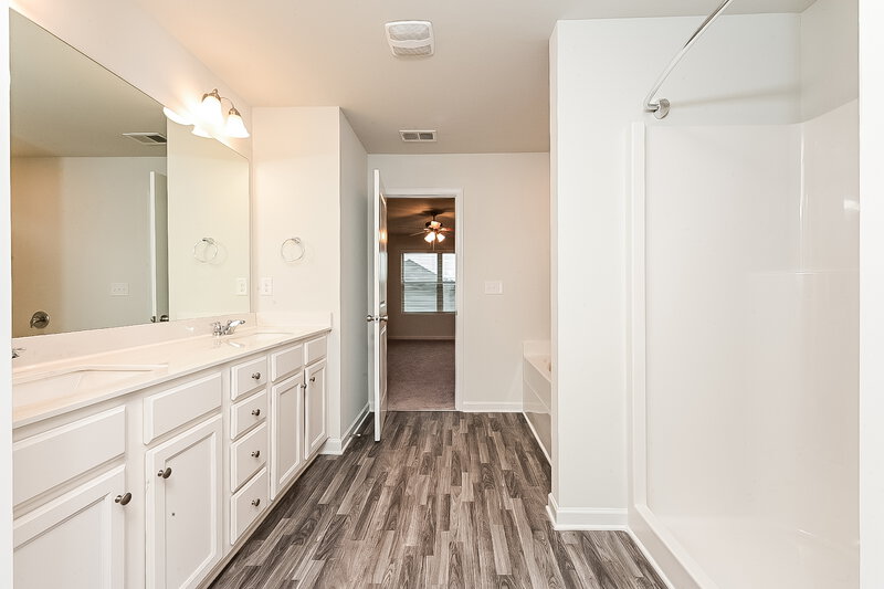 2,390/Mo, 445 Culloden Moor Dr McDonough, GA 30253 Main Bathroom View 2
