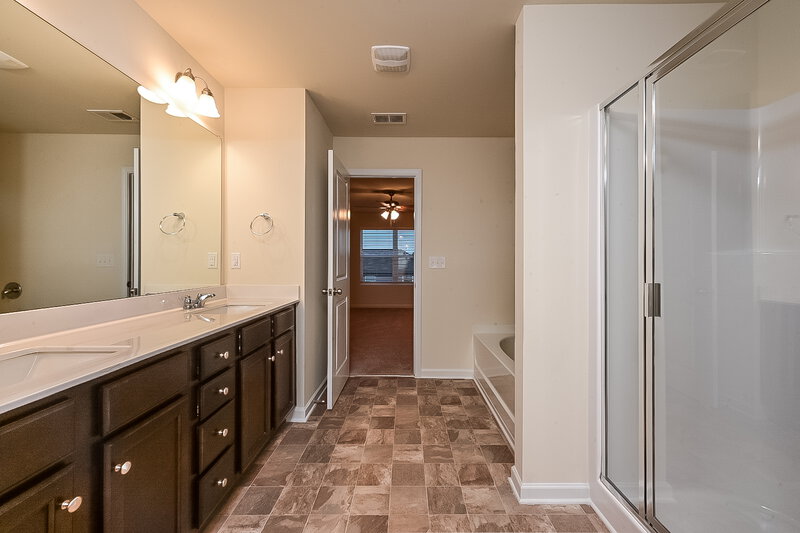 2,605/Mo, 437 Culloden Moor Dr McDonough, GA 30253 Main Bathroom View 2